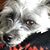 Teresa Allen Banks's profile image