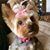 Teresa Flusche's profile image