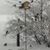 Susan Okan Tenley's profile image