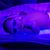 Lindsay Marie's profile image