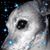 Rochelle Chapman's profile image