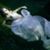 Marlene Tremblay's profile image