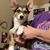 Corinne Larranaga's profile image