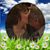 Nancy D'Amato's profile image