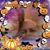 Gary-teresa Winstead's profile image