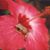 Diana Black's profile image
