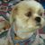Kathy Heath's profile image