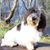 Charlotte Allmann's profile image