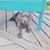 Julie Miller Brinegar's profile image
