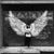 Judy Paul Reimel's profile image