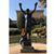 Tiffany Felts's profile image