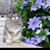 Yvonne Welsch's profile image