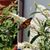 Amy Cosco's profile image
