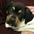 Cathy Pollard's profile image