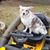 Dawn M. Labonne's profile image
