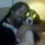 Paul Anderson's profile image