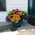Judy Hackett Goody's profile image