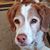 Holly Fowler's profile image