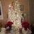 Tracy Williams's profile image