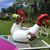 Sandra Angell's profile image