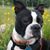 Dottie Barlow's profile image