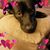 Dee Sharpe's profile image