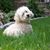 Barbara Carroll's profile image