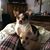 Audrey McMillion's profile image