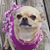 KatiJo Hayes's profile image
