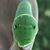 Dawn Tucker's profile image