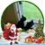 Natalie E Rekrut's profile image