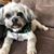 Kathy Fredrick Buzay's profile image
