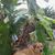 Christie Alston's profile image