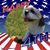 Jillie Bean's profile image