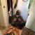 Holly Wadham's profile image