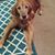 Janet Huss Kenneweg's profile image