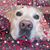Tracy Zuniga's profile image