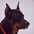 Eric Zweier's profile image