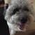 Sue Bisnchi's profile image