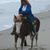 Deby 'Jones' O'Gorman's profile image