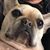 Mindy Meininger Fulks's profile image
