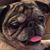 Jim Rushton's profile image