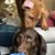Carolyn Hartman Greene's profile image