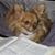Schelli Ward's profile image