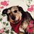 Heather L. Leavitt's profile image