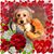 Judy Boyd Shepard's profile image