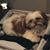 Kim Schebler's profile image