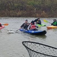 Rebecca Hill's profile image