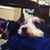 Sarah Carmichael-Smith's profile image