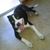 Jason Winebrenner's profile image